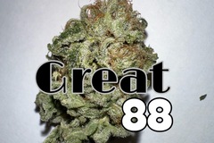 Vente: Great 88 (sale price)