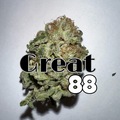 Vente: Great 88 (sale price)