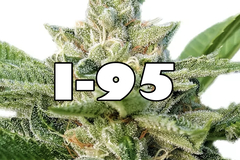 Vente: I-95 (sale price)