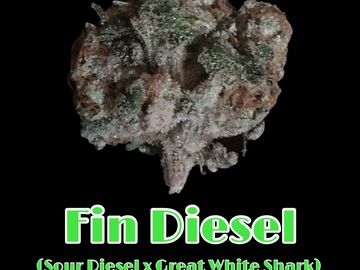 Venta: Fin Diesel (new release)