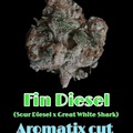 Sell: Fin Diesel (new release)