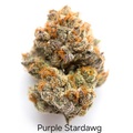 Auction: Auction - Purple Stardawg - 12 Regs
