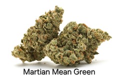 Vente: Martian Mean Green IBL - 12 Regs