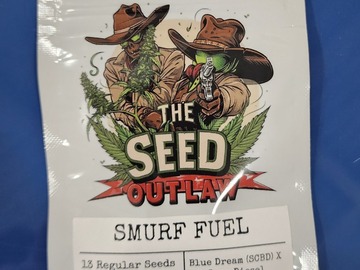 Sell: Smurf Fuel ⛽️  Blue Dream X Sour Diesel by The Seed Outlaw