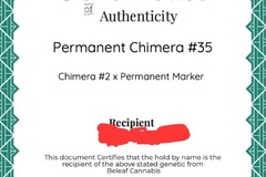 Vente: PERMANENT CHIMERA 35 (12.5K CUT) COA AVAILABLE