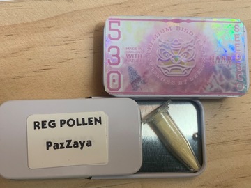 Sell: PazZaya by Terphogz REG UNCUT POLLEN