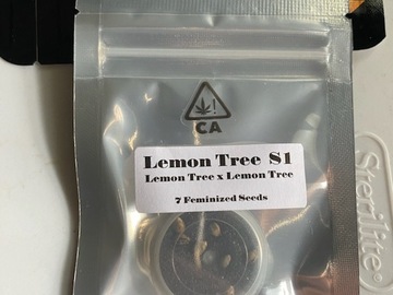 Venta: CSI HUMBOLDT - LEMON TREE S1