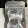 Sell: CSI HUMBOLDT - LEMON TREE S1