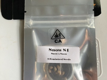 Venta: CSI HUMBOLDT - SNOW S1