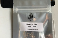Sell: CSI HUMBOLDT - SNOW S1