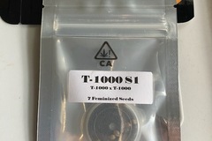 Sell: CSI HUMBOLDT - T-1000 S1