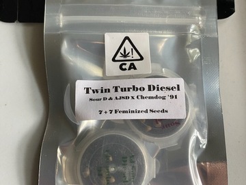 Sell: CSI HUMBOLDT - TWIN TURBO DIESEL (DOUBLE PACK!!)