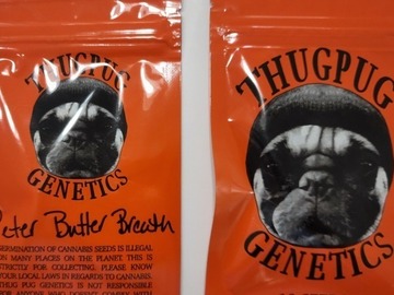 Vente: Thugpug Peter butter Breath Nom Nom x PBB Limited Edition