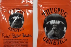 Sell: Thugpug Peter butter Breath Nom Nom x PBB Limited Edition