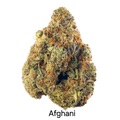 Venta: Afghani - 6 Fems