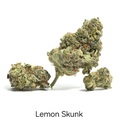 Enchères: Auction - Lemon Skunk - 6 Fems