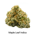 Venta: Maple Leaf  - 12 Regs