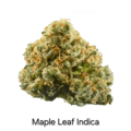 Auction: Auction - Maple Leaf  - 12 Regs