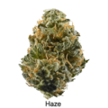 Sell: Haze - 12 Regs