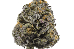 Vente: Purple Thai - 12 Regs