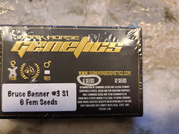 Sell: Darkhorse Genetics Bruce Banner #3 S1