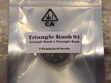 Vente: Csi Triangle Kush