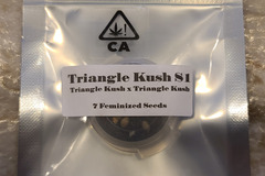 Vente: Csi Triangle Kush