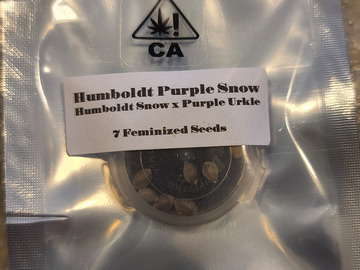 Sell: CSI Purple Humboldt Snow