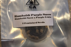 Sell: CSI Purple Humboldt Snow