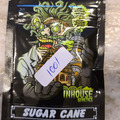 Sell: In House Genetics Sugar Cane