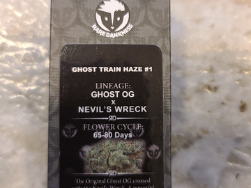 Vente: Rare Dankness Gost Train Haze