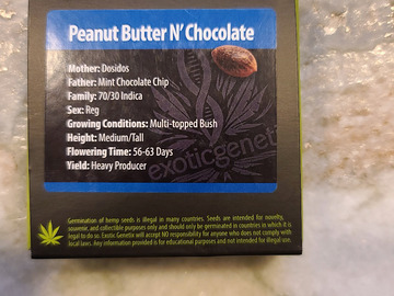 Sell: Exotic Genetix Peanut Butter N Chocolate