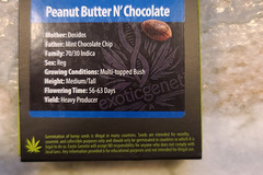 Sell: Exotic Genetix Peanut Butter N Chocolate