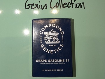 Vente: Compound Genetics - Grape Gasoline S1