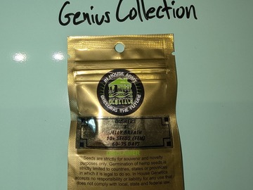 Venta: InHouse Genetics - Jelly Gushers