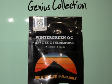 Venta: WY'EAST FARMS - Wintergreen OG