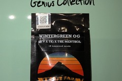 Vente: WY'EAST FARMS - Wintergreen OG