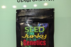 Vente: SeedJunky Genetics - Zkittlez x Kush Mints #11