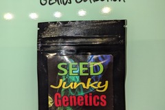 Venta: SeedJunky Genetics - Zkittlez x Kush Mints #11