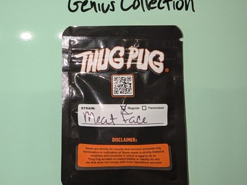 Sell: Thug Pug - Meat Face