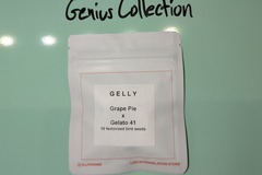 Sell: Lit Farms - Gelly