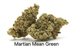 Auction: Auction - Martian Mean Green - 12 Regs