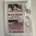 Sell: 6 FEMINIZED BLACK WIDOW SEEDS