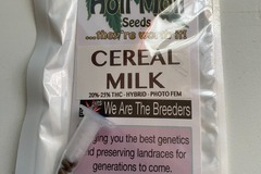 Vente: 6 FEMINIZED CEREAL MILK SEEDS