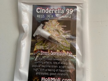 Vente: 8 REGULAR M/F CINDERELLA 99 SEEDS