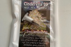 Sell: 8 REGULAR M/F CINDERELLA 99 SEEDS