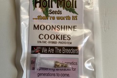 Sell: 6 FEMINIZED MOONSHINE COOKIES SEEDS