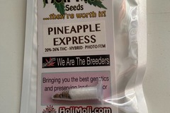 Vente: 6 FEMINIZED PINEAPPLE EXPRESS SEEDS