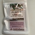 Sell: 6 FEMINIZED PURPLE URKLE SEEDS