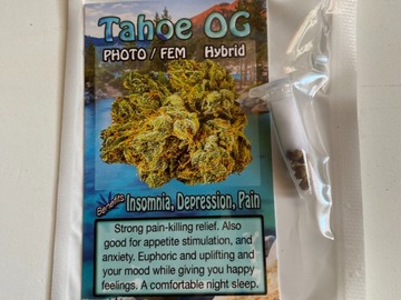 Vente: 6 FEMINIZED TAHOE OG SEEDS